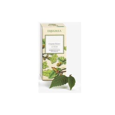 FICUS CARICA GEMME GD BIO