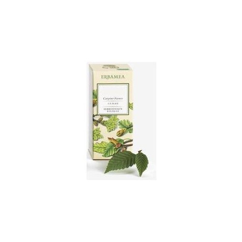 TILIA TORMENTOSA GEMME GD BIO