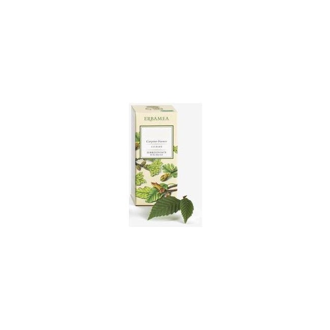 TILIA TORMENTOSA GEMME GD BIO