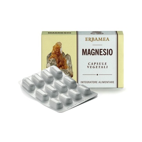 MAGNESIO 24CPS 1200MG