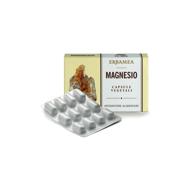 MAGNESIO 24CPS 1200MG