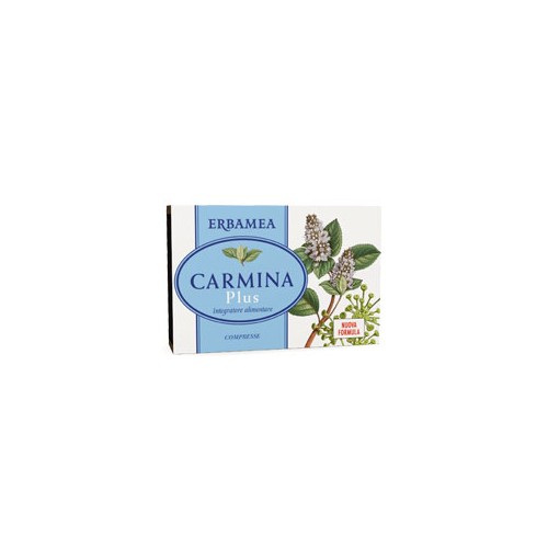 CARMINA PLUS 24CPR 19,2G