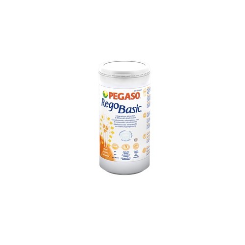 REGOBASIC POLVERE 250G