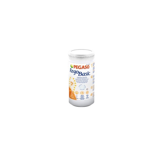 REGOBASIC POLVERE 250G