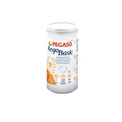 REGOBASIC POLVERE 250G