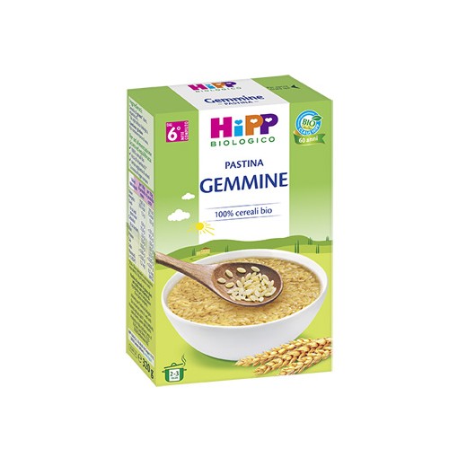 HIPP BIO PASTINA GEMMINE 320G