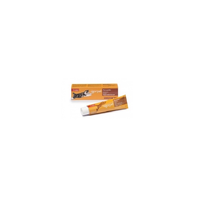 VIGORPET GATTI PASTA 50G