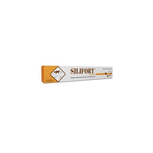 SILIFORT PASTA OS SIRINGA 15G