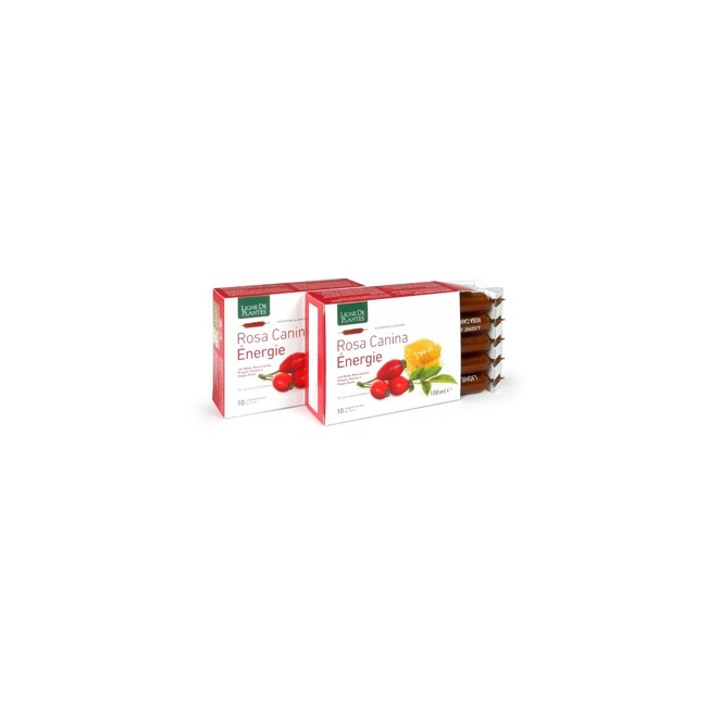 ROSA CANINA ENERGIE BIO 10AMP
