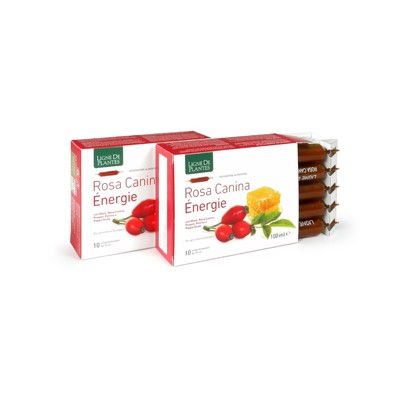 ROSA CANINA ENERGIE BIO 10AMP