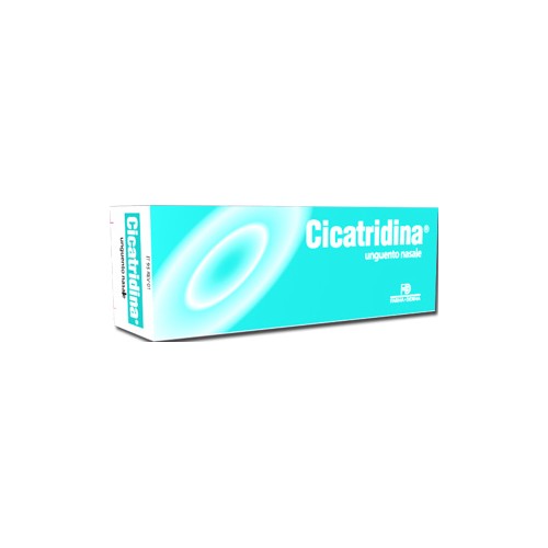 CICATRIDINA UNGUENTO NAS 15G