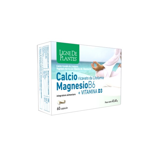 CALCIO+MAGNESIO B6+VITD3 60CPS