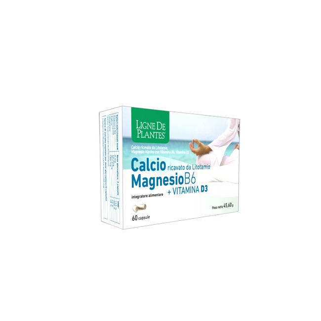 CALCIO+MAGNESIO B6+VITD3 60CPS