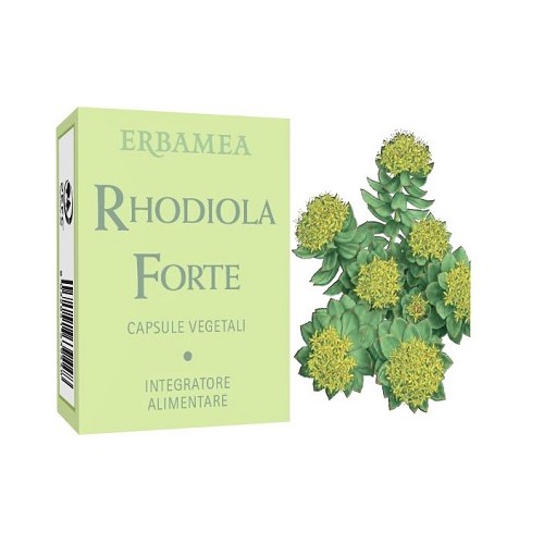 RHODIOLA FORTE 24CPS
