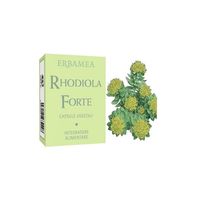 RHODIOLA FORTE 24CPS