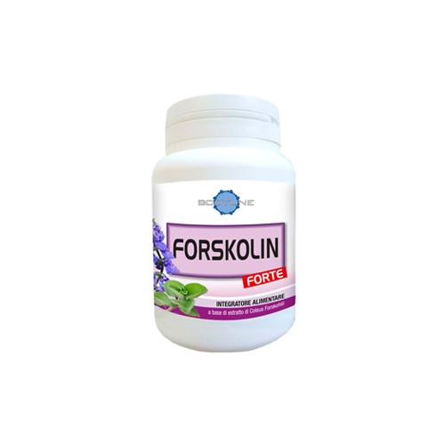 FORSKOLIN FORTE 60CPS