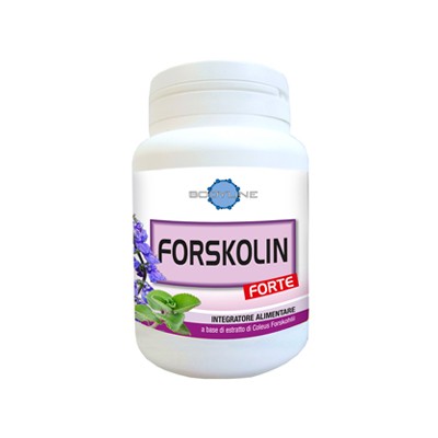 FORSKOLIN FORTE 60CPS