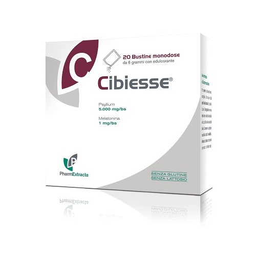 CIBIESSE 20BUST