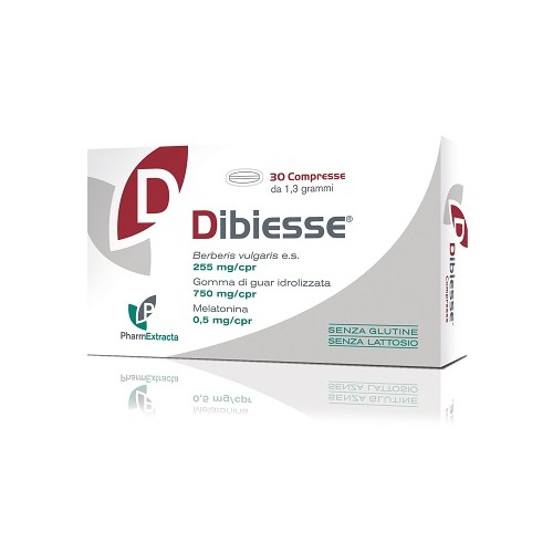 DIBIESSE 30CPR