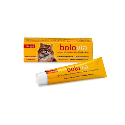 BOLO VIA PASTA GATTI 50G