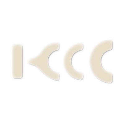 BRAVA CEROTTO IDROCOL XL 20PZ