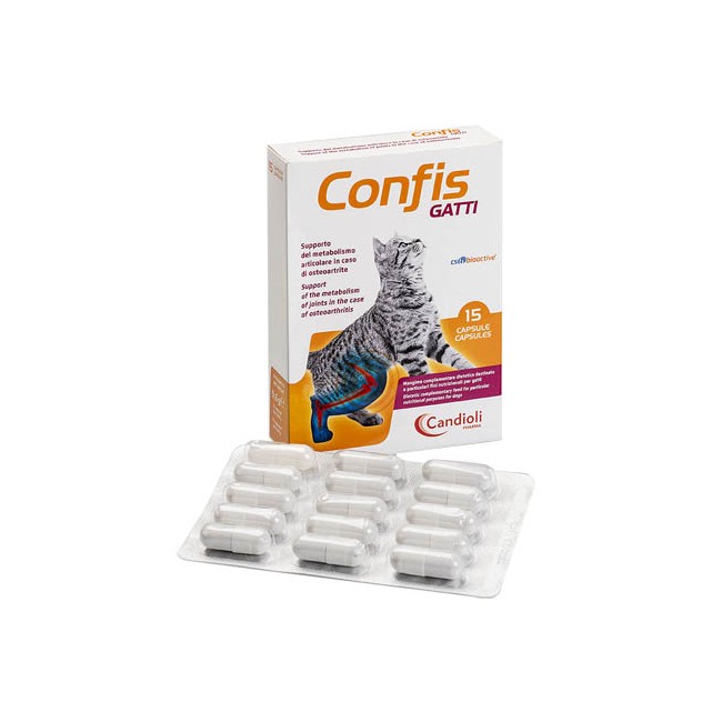 CONFIS GATTI 15CPS