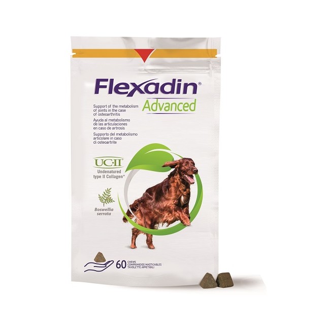 FLEXADIN ADVANCED CANE 60TAV
