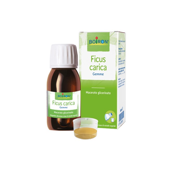 FICUS CARICA BOI MG 60ML INT