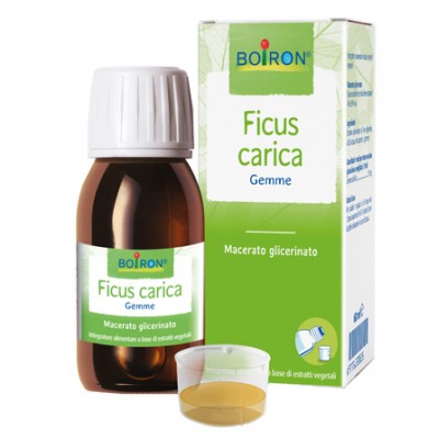 FICUS CARICA BOI MG 60ML INT