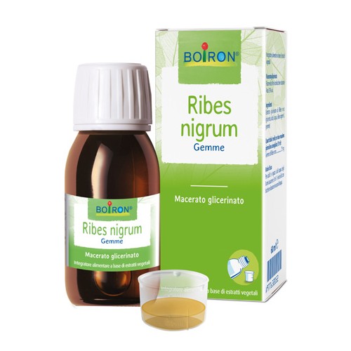 RIBES NIGRUM BOI MG 60ML INT