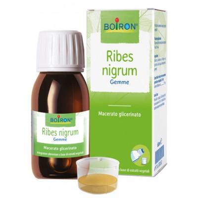 RIBES NIGRUM BOI MG 60ML INT