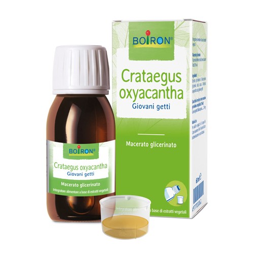 CRATAEGUS OXY BOI MG 60ML INT