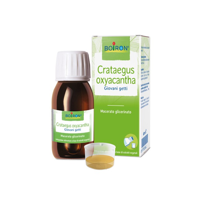 CRATAEGUS OXY BOI MG 60ML INT