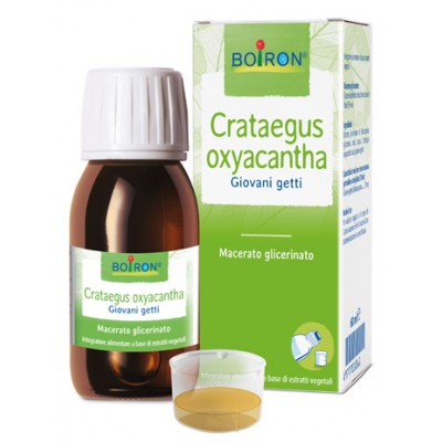 CRATAEGUS OXY BOI MG 60ML INT