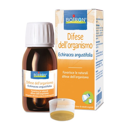 ECHINACEA ANG BOI EI 60ML INT