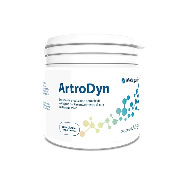 ARTRODYN 60 PORZIONI 275G