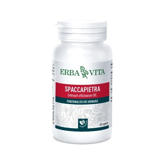 SPACCAPIETRA 60CPS