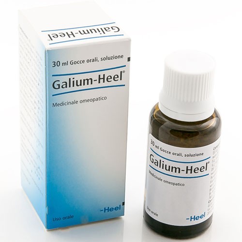 GALIUM 30ML GTT HEEL
