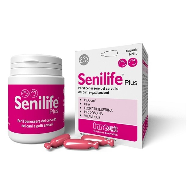 SENILIFE PLUS 30CPS