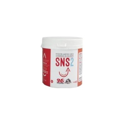 SNS2 100G