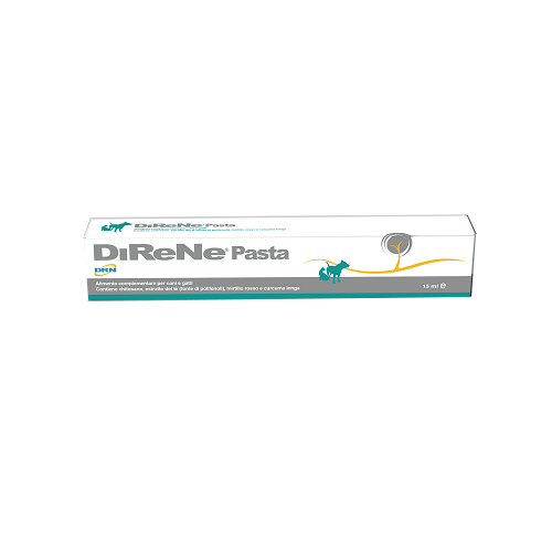 DIRENE PASTA 15ML