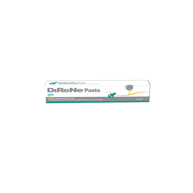 DIRENE PASTA 15ML