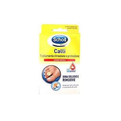 SCHOLL CER CALLIF TRATT R/PROT
