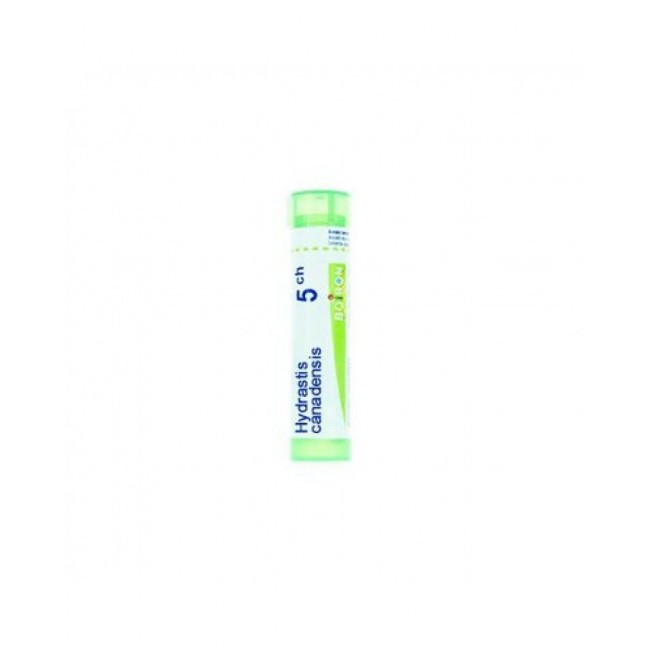 HYDRASTIS CANADENSIS%5CH 80GR