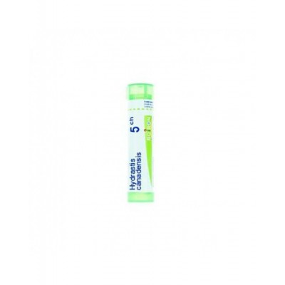 HYDRASTIS CANADENSIS%5CH 80GR