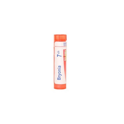 BRYONIA%7CH 80GR 4G