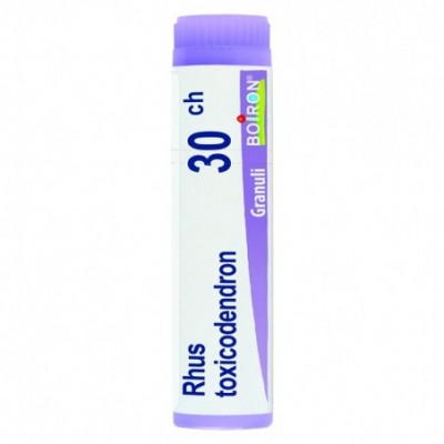 RHUS TOXICODENDRON%30CH 80GR4G