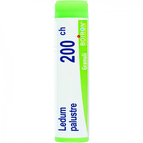 LEDUM PALUSTRE 200CH GL