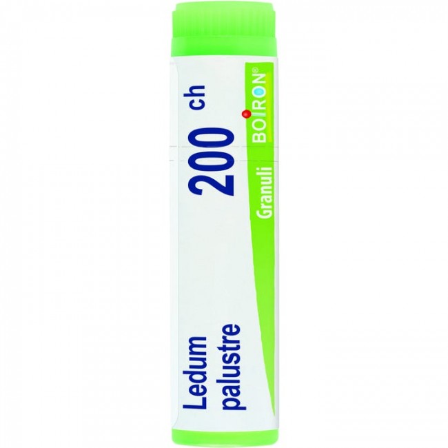 LEDUM PALUSTRE 200CH GL