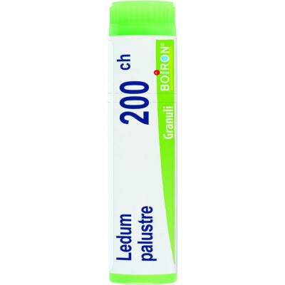 LEDUM PALUSTRE 200CH GL